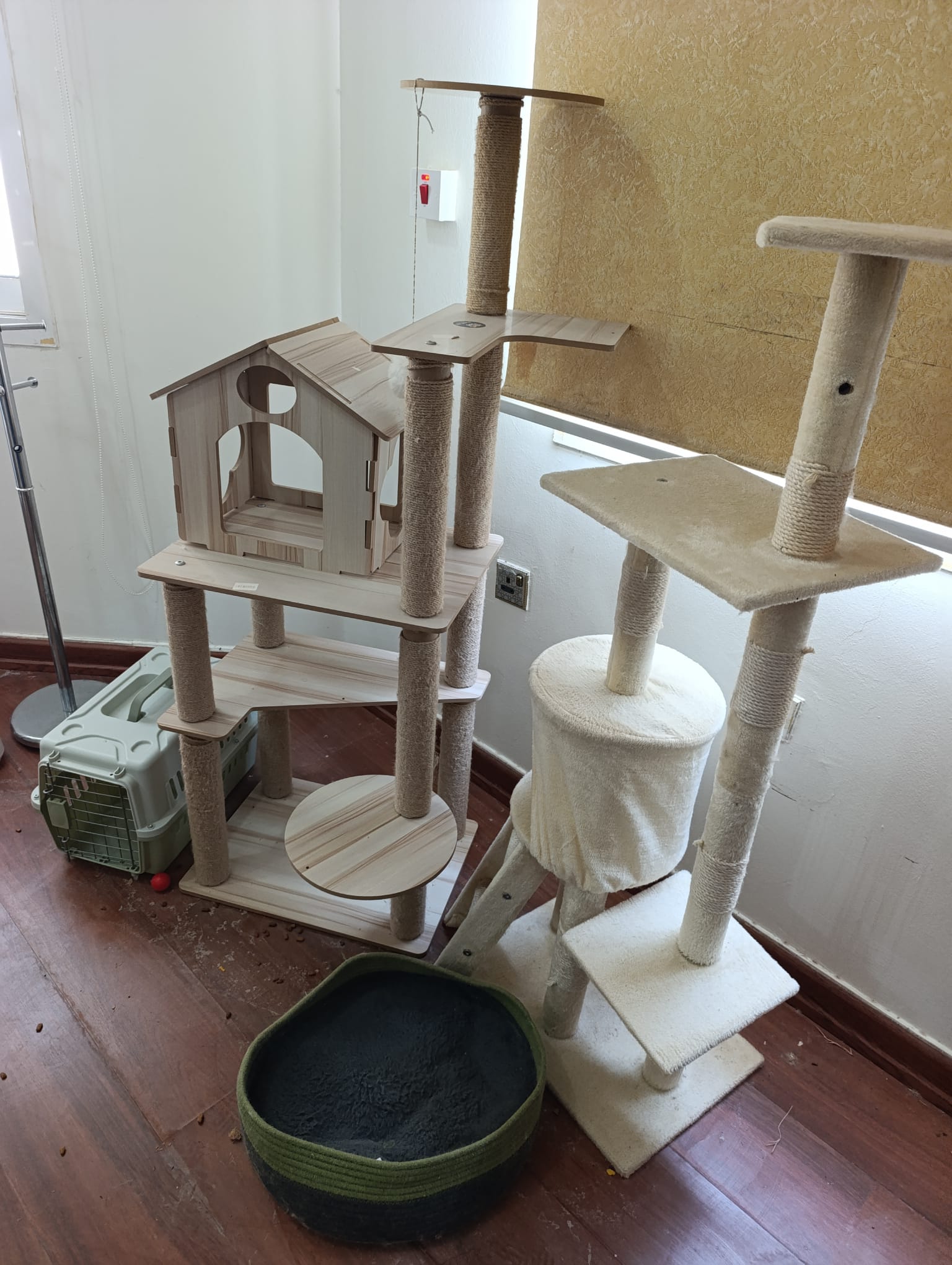 2 Cat Furniture & Cat Carrier  - Image 4