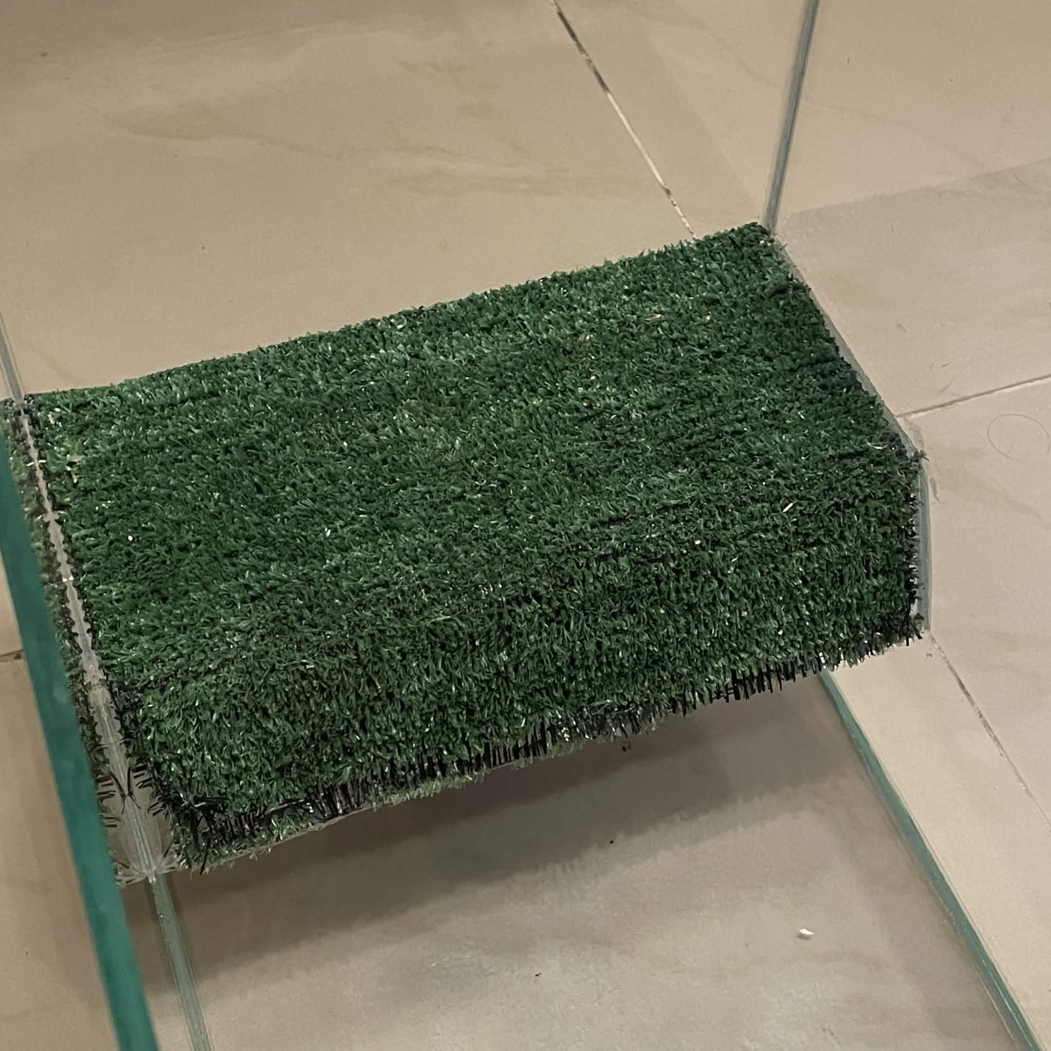 Reptile/Amphibian/Rodent Glass Tank - Image 4