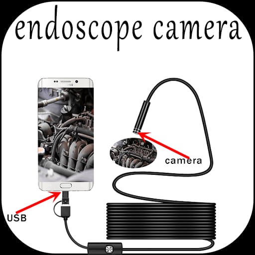 Slide 5