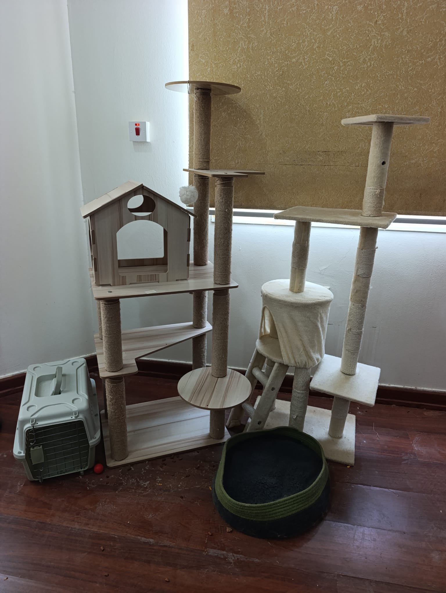 2 Cat Furniture & Cat Carrier  - Image 3