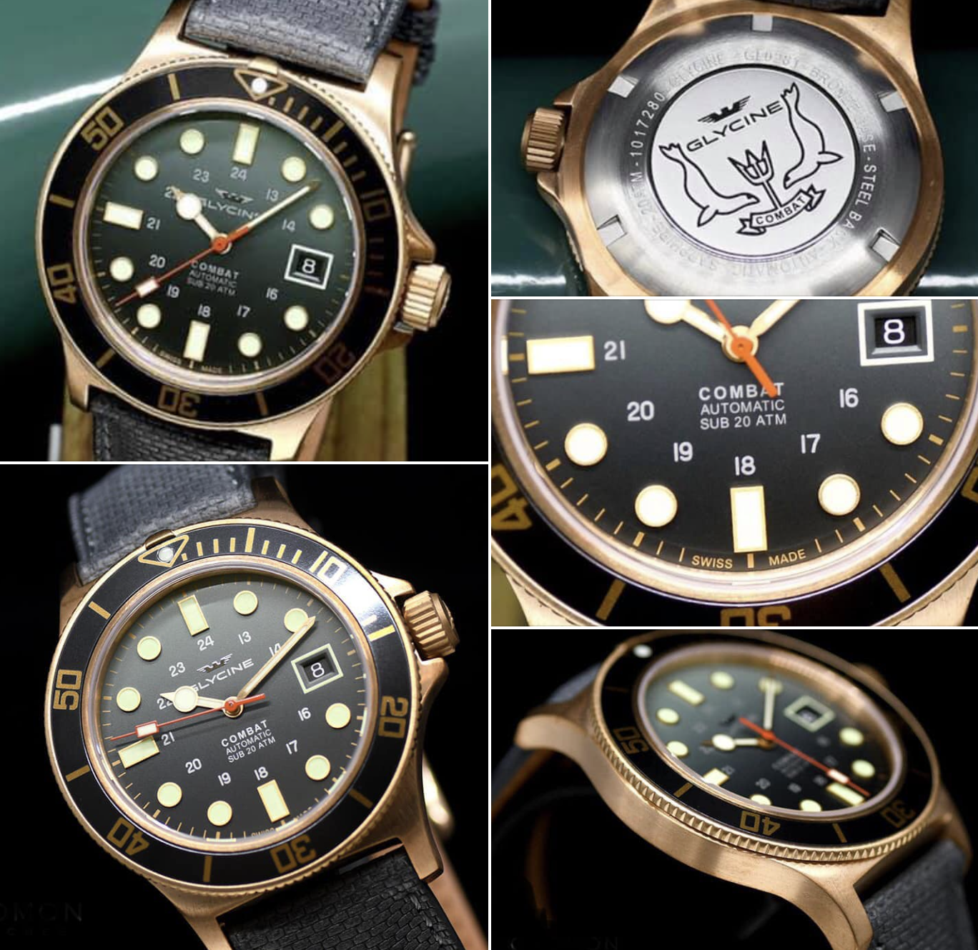 Glycine Combat  Bronze - Image 2