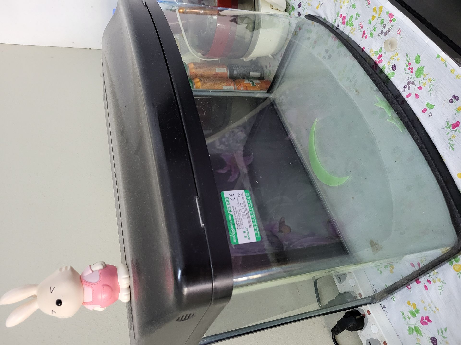 Fish tank - Image 5