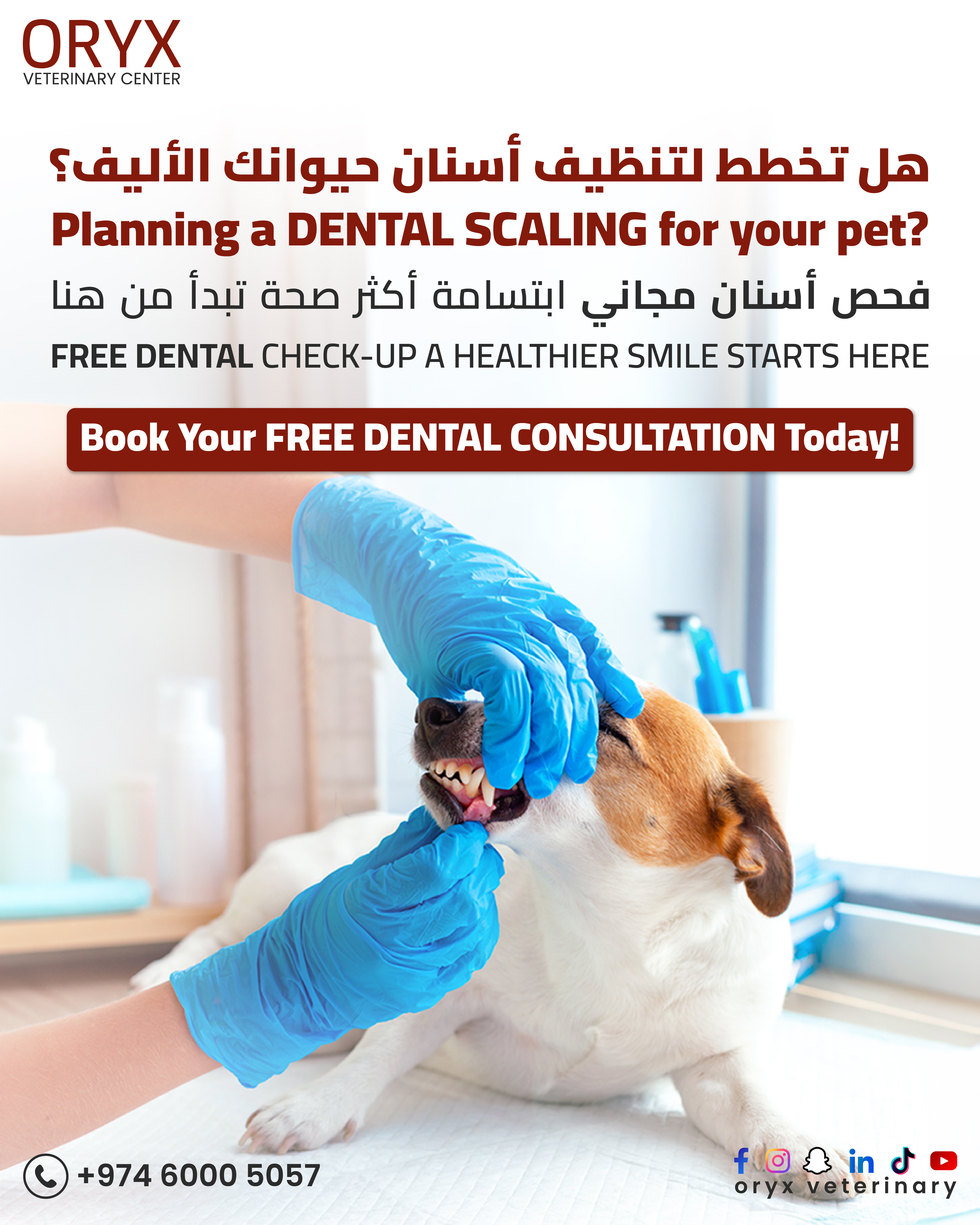 Everything Your Pet Needs, All in One Place | Oryx Veterinary Center - Image 2