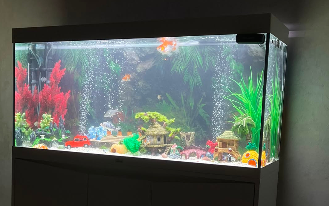 Professional Aquarium Maintenance at Home | From 300 QAR | Qatar - Image 2