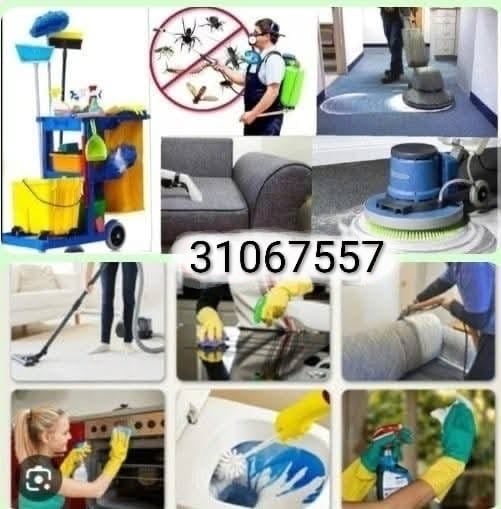 Professional cleaning and pest control services in Qatar - Image 2