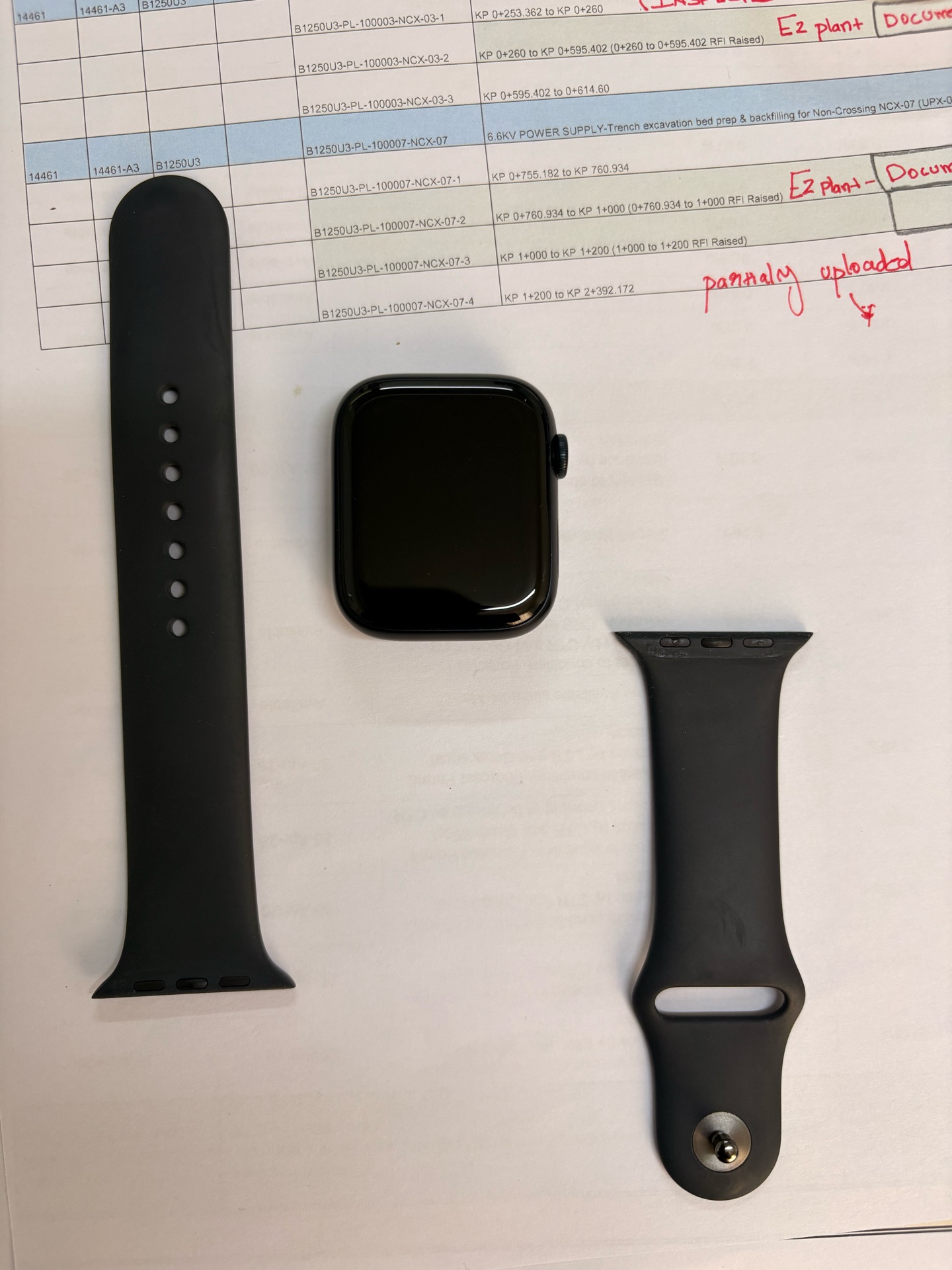 Apple Watch 9- 45 mm - Image 8