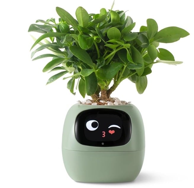 2 Green Plantsio smart pet planter Robot - Image 2