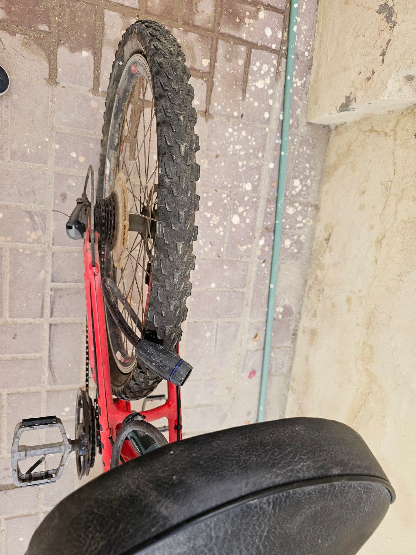 American cycle - Image 4