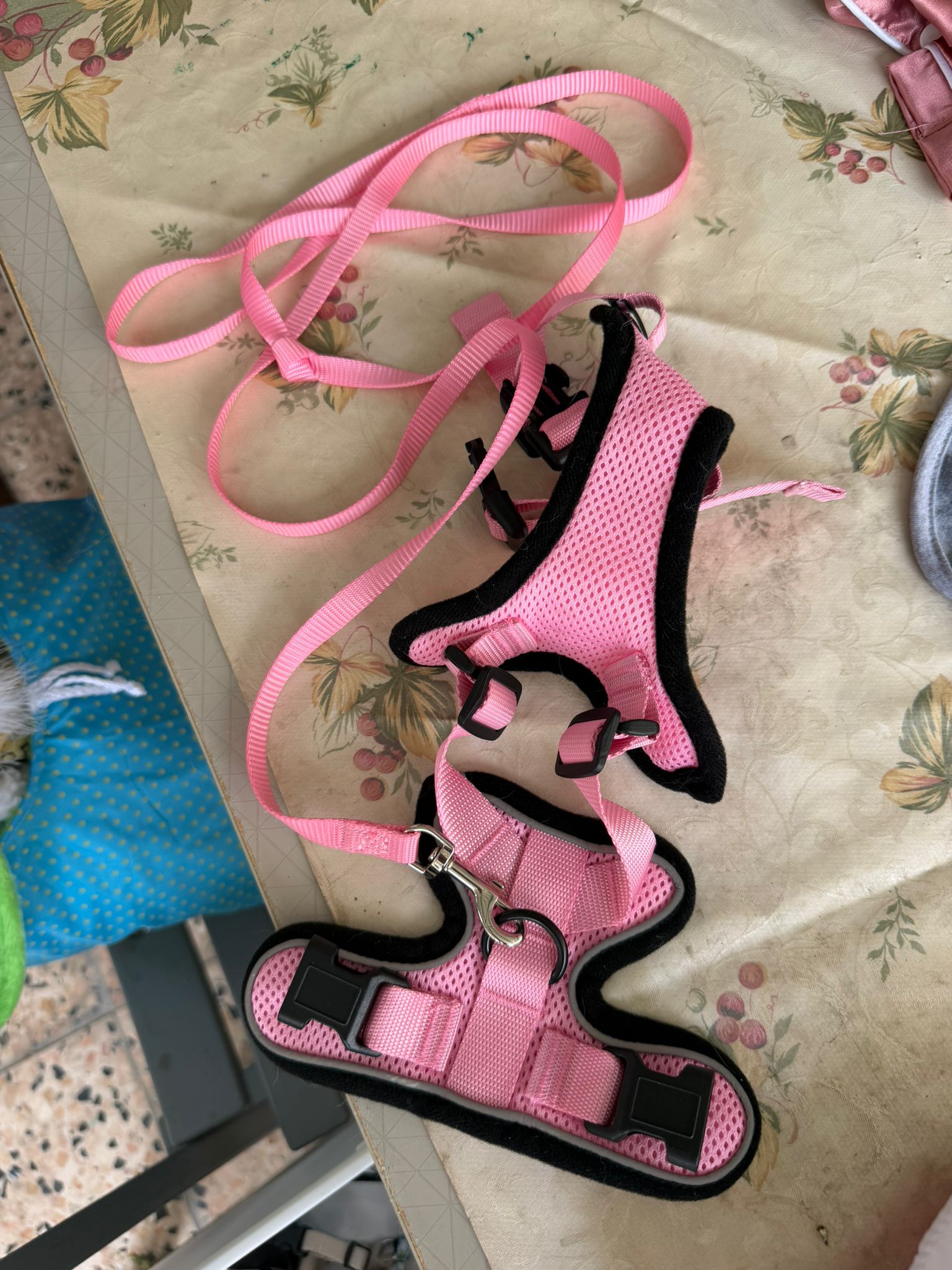CAT HOUSE, DOG LEASH, CAT CLOTH AND ACCOSARRIES FOR GIVEAWAY SALE  - Image 8