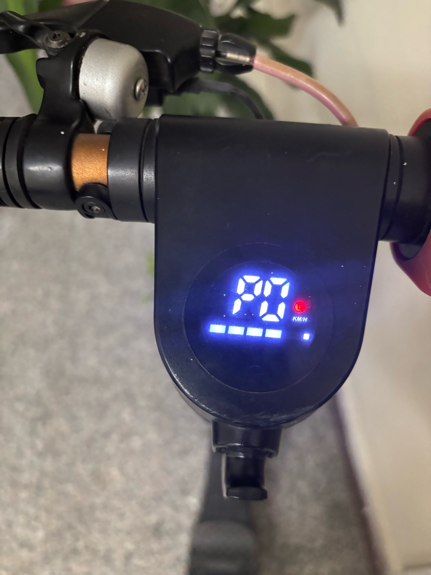 For all fx 7 - Image 5