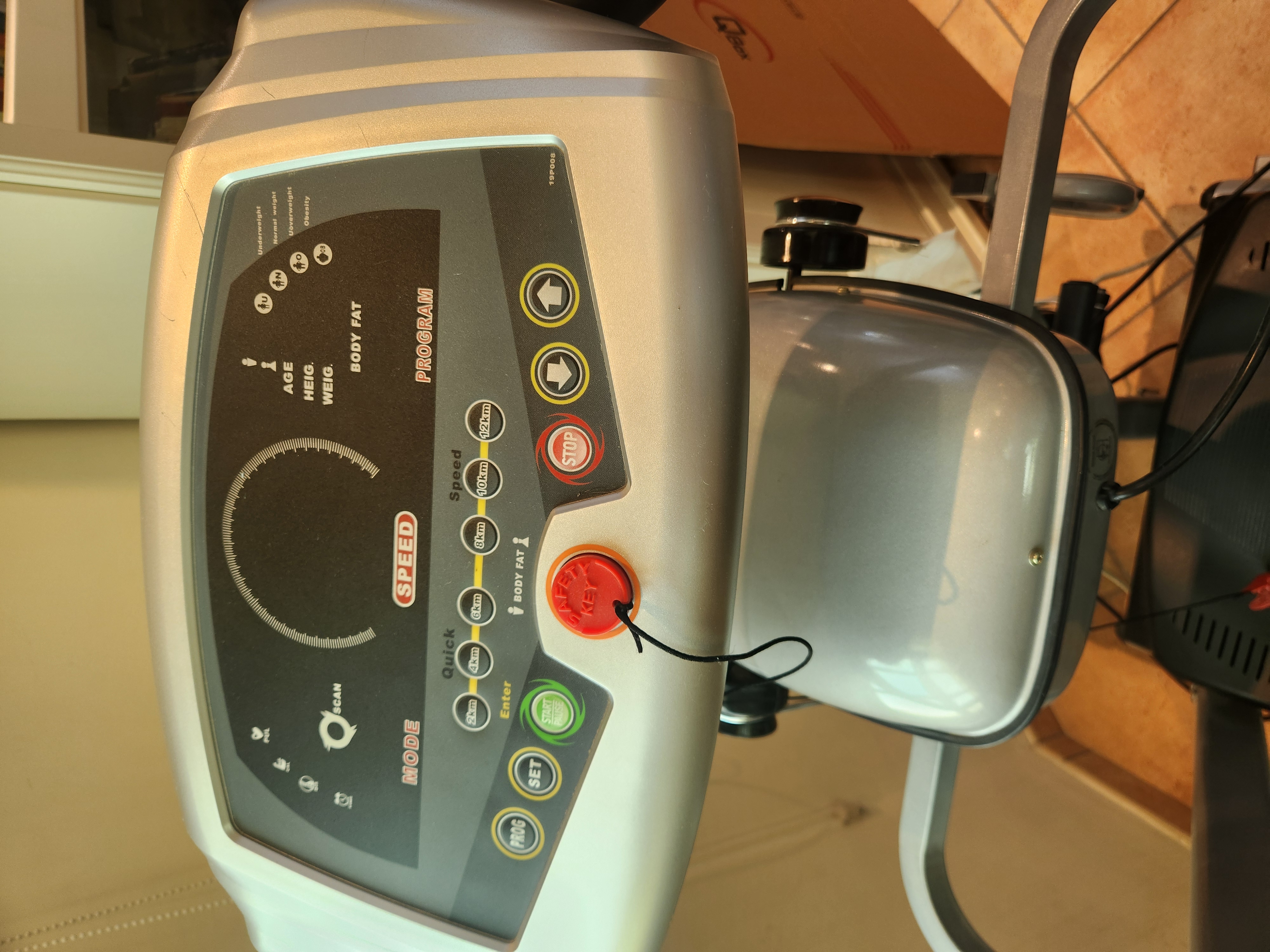 Treadmill & Massage Belt - Image 2