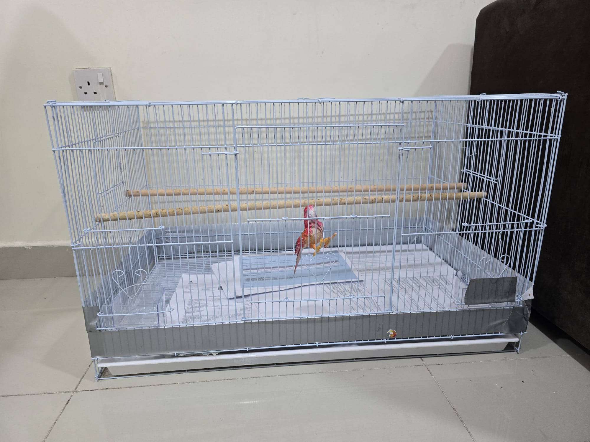 Bird  - Chicken cage = 46cm x 46cm x 76cm  - Image 4