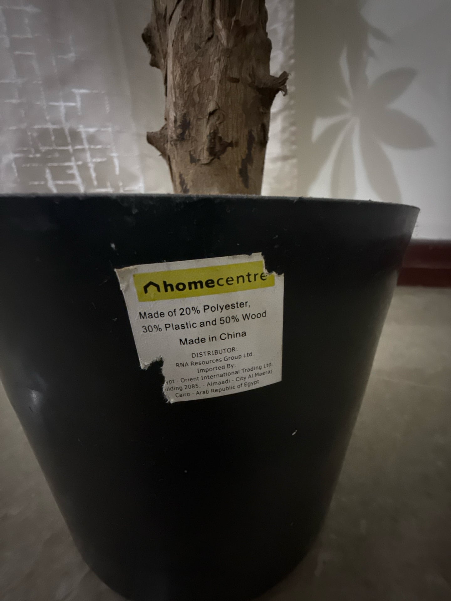 Tree from home center  - Image 2