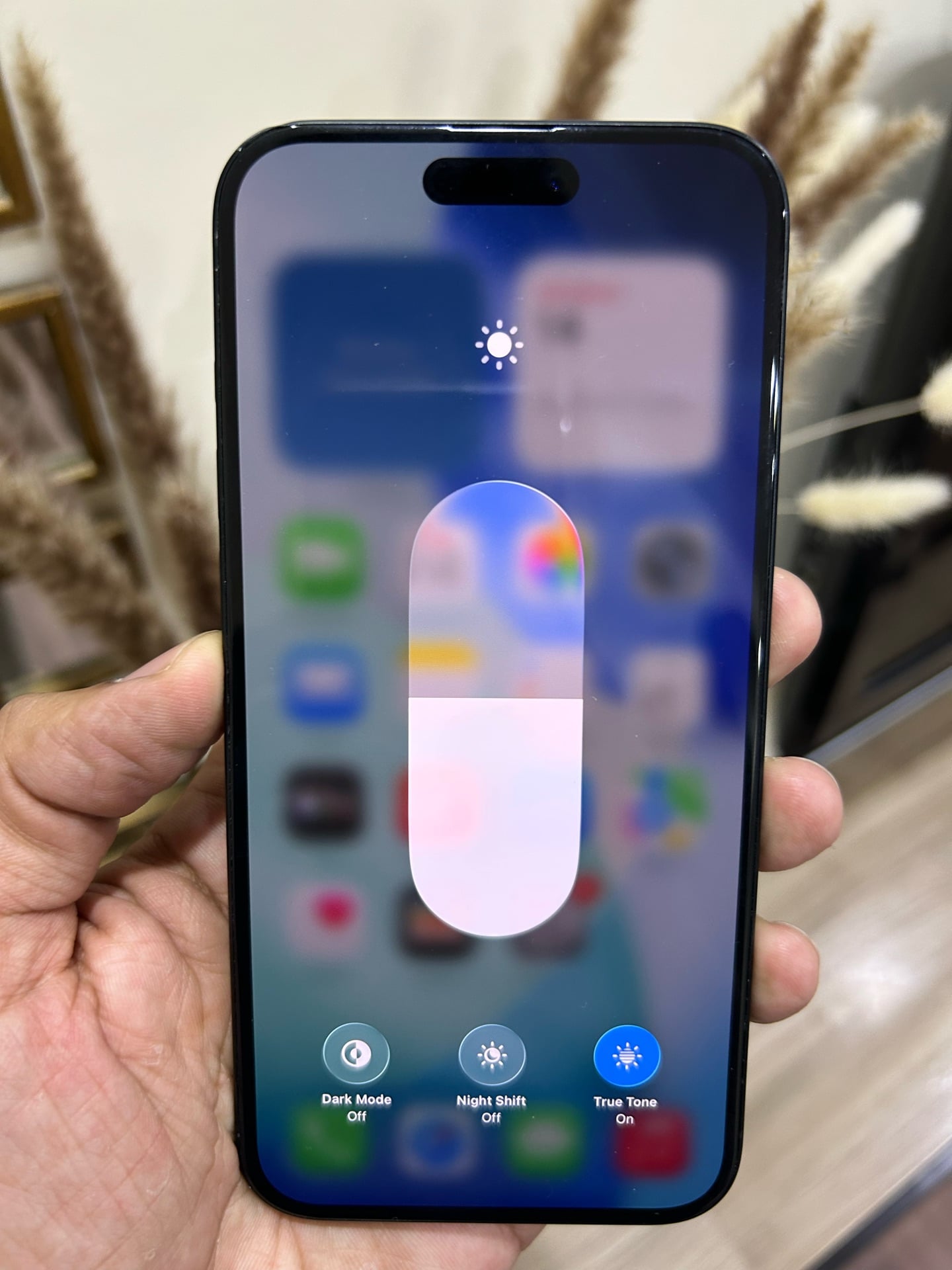 iPhone 16 Plus 256 GB 95% - Image 5
