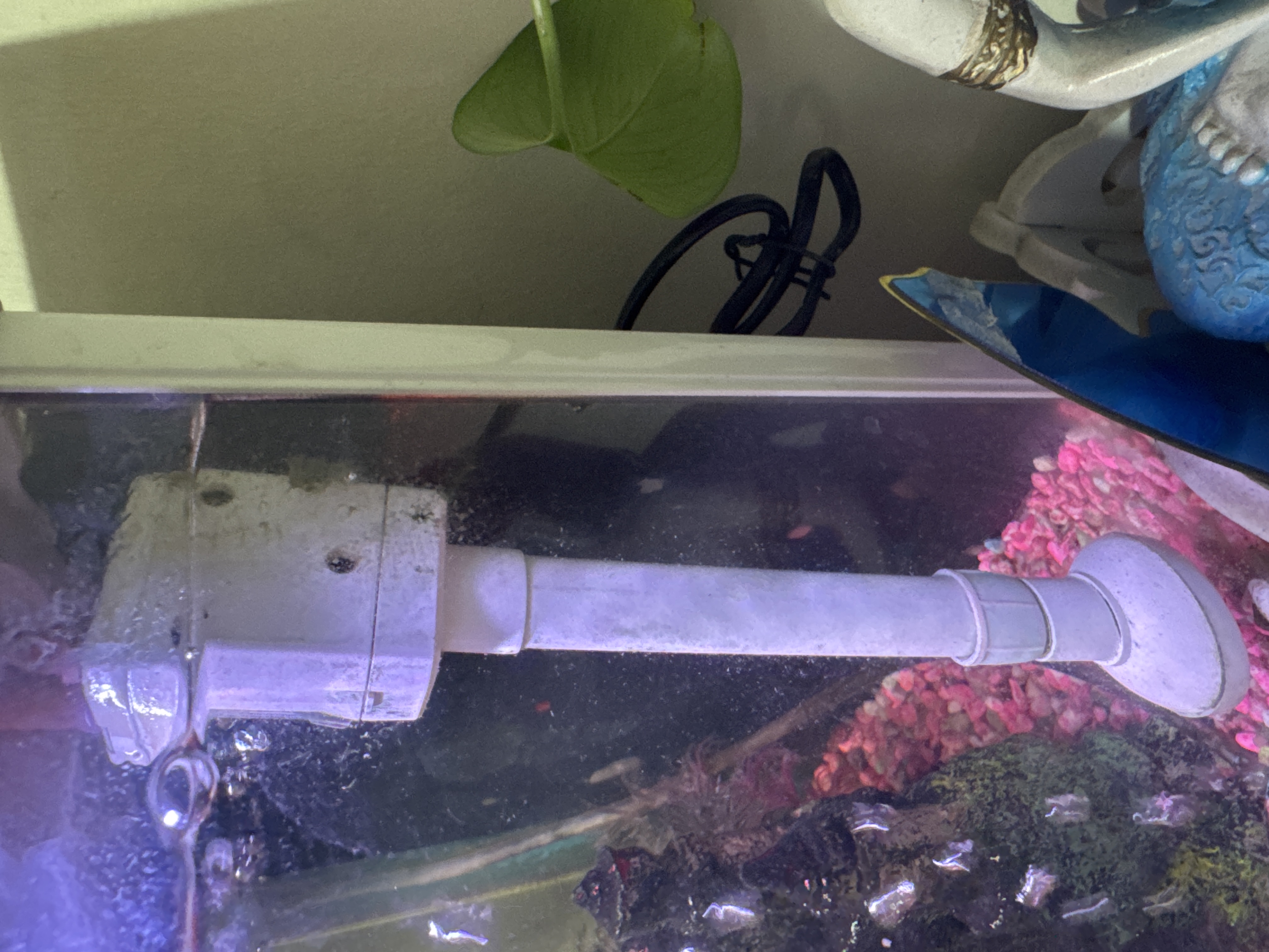 Fish tank  - Image 4