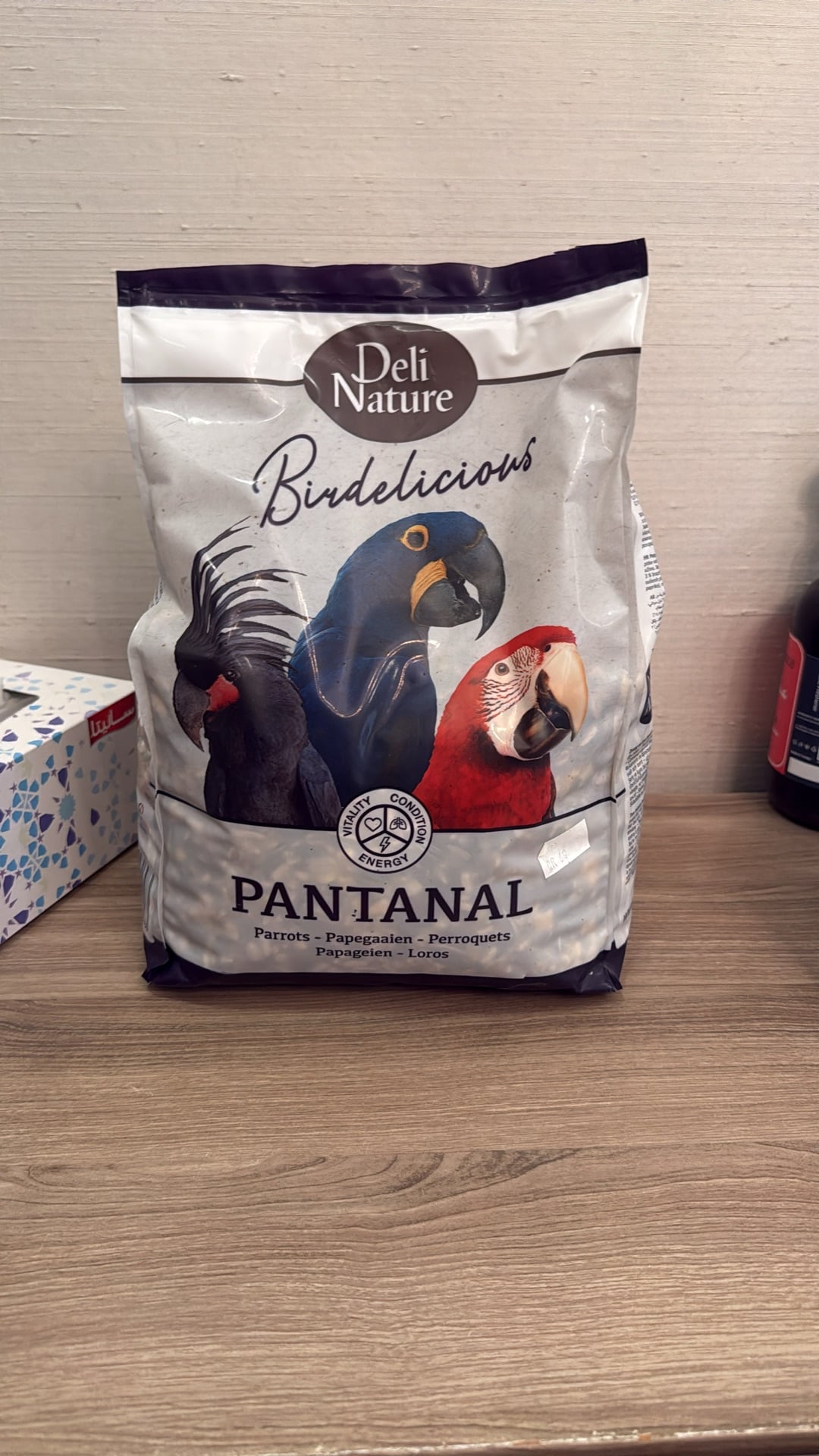 Hahn’s Mini Macaw – Hand-Tamed - Parrot - Bird - Image 9