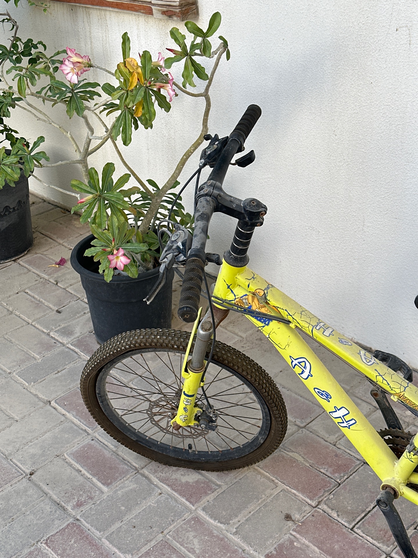 Kids Bicycle (only tire to be changed) - Image 2