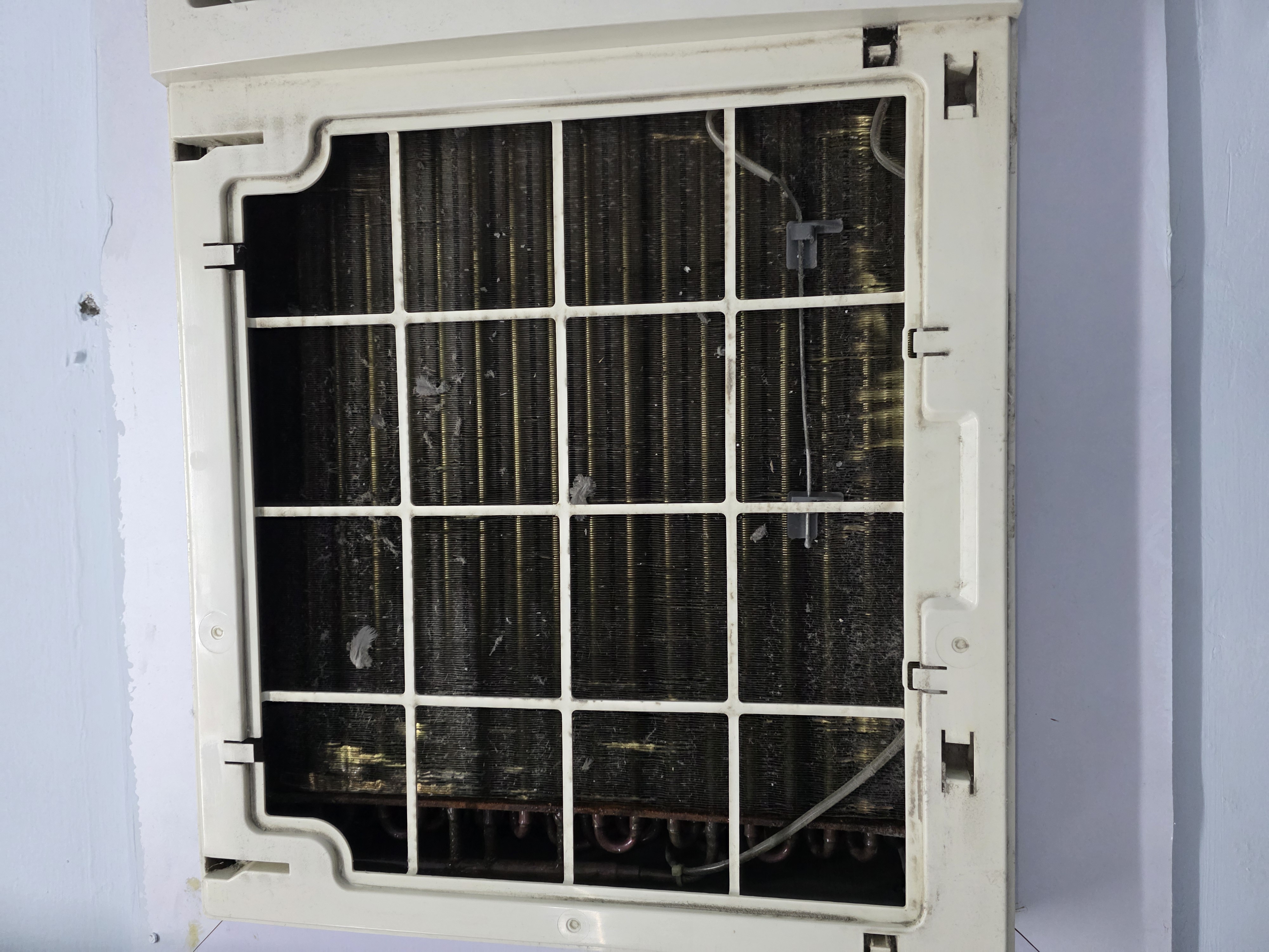 Bluestar and Aftron Window AC - Image 6