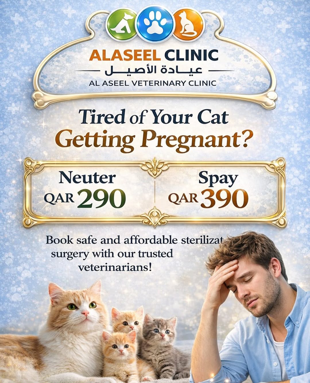 Safe Spay & Neuter — Al Aseel Veterinary Clinic | From 290 QAR