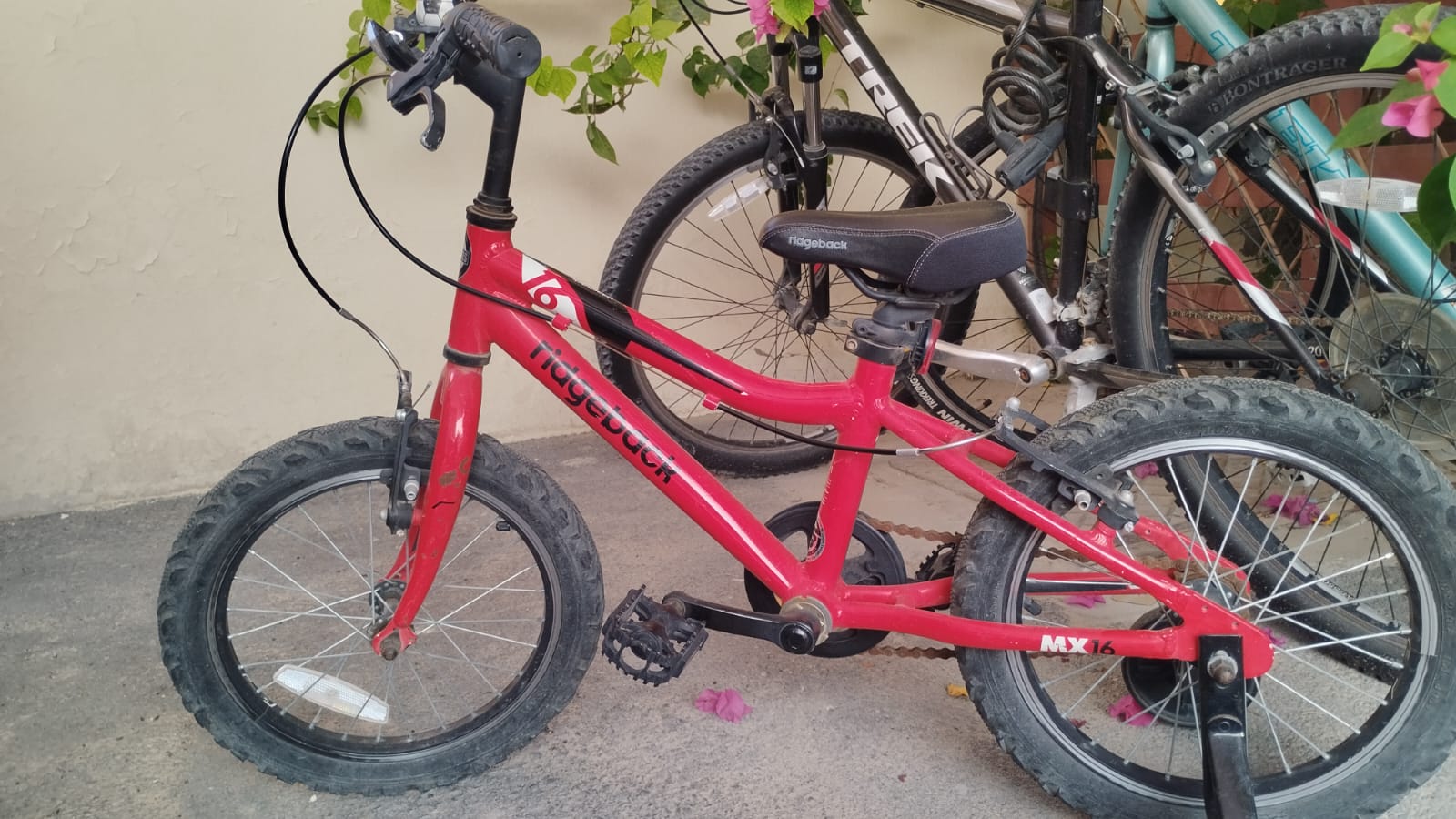 UK made Flagbike (ridgeback) kids bicyle for sale - Image 1