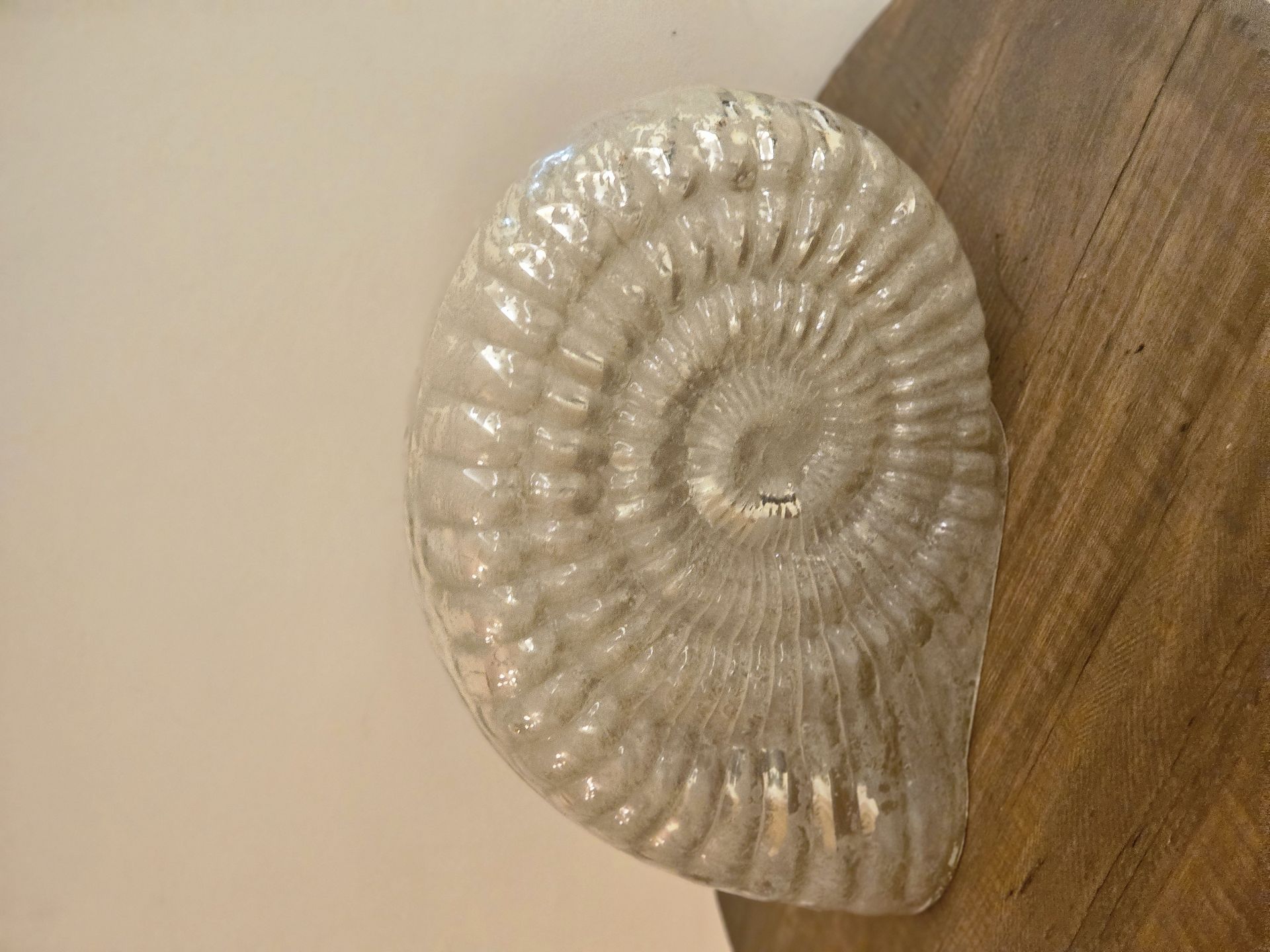 Pottery Barn Glass Shell - Image 3