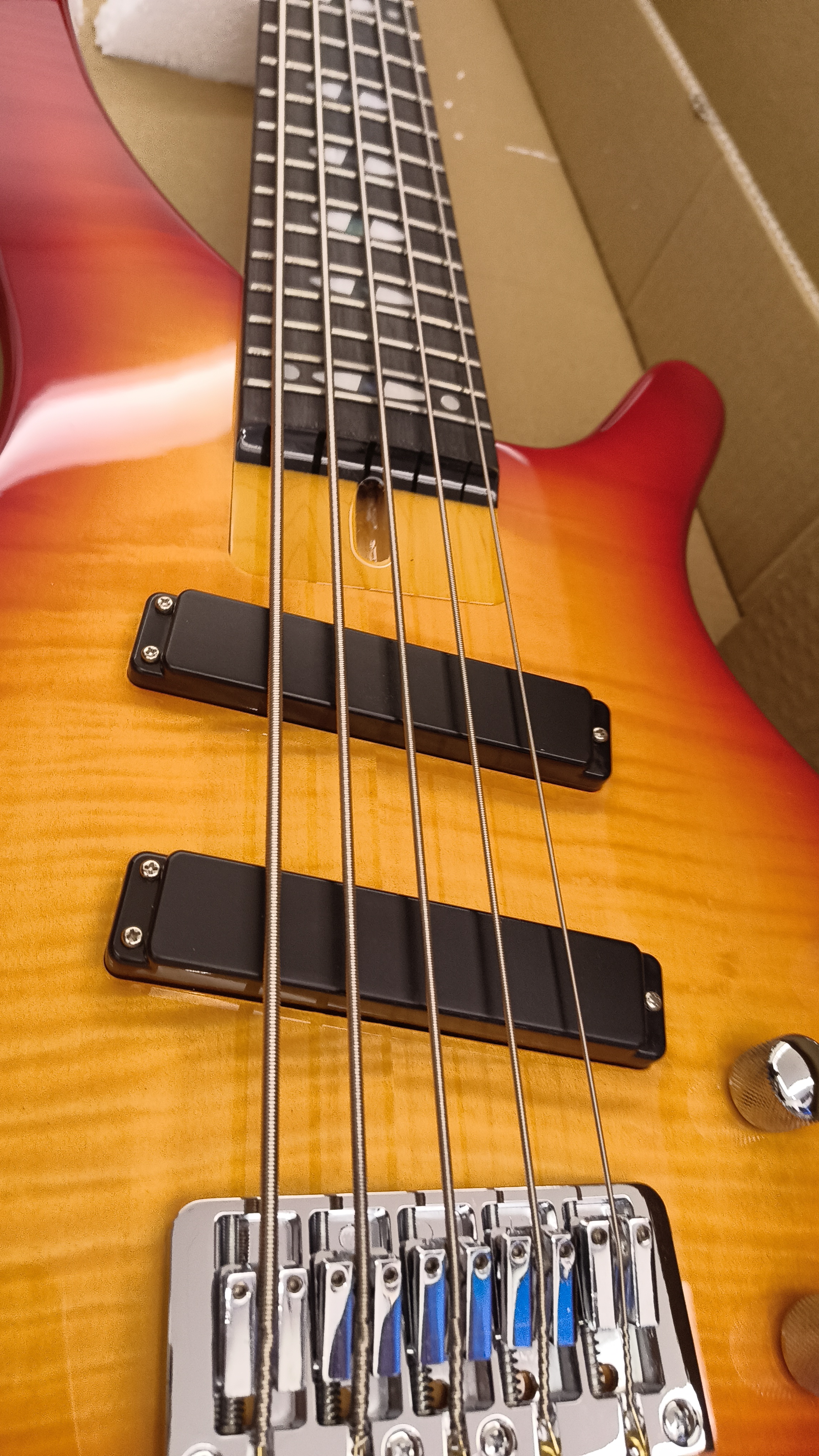 5 String Custom Bass - Image 3