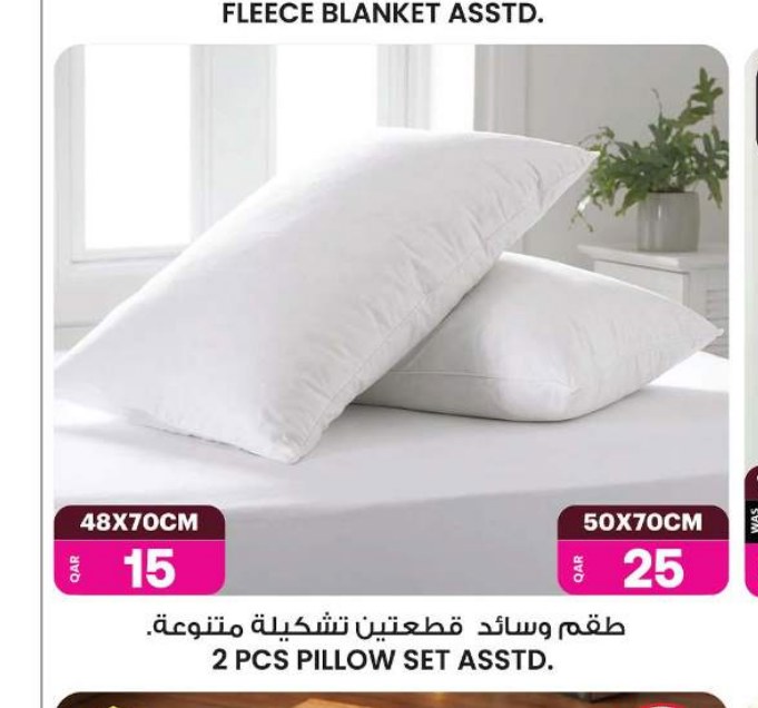 2 PCS PILLOW SET ASSTD. 48X70CM