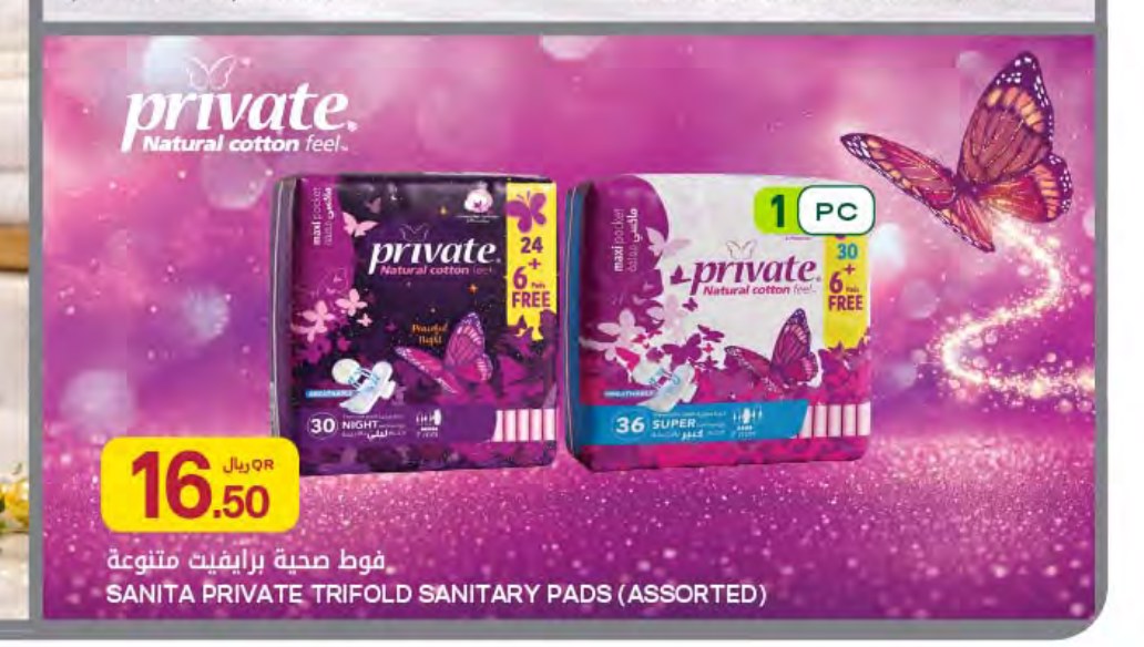SANITA PRIVATE TRIFOLD SANITARY PADS (ASSORTED)